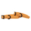 Dog Waterproof Collar - Orange