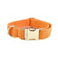 Orange Corduroy Set