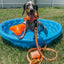 Dog Waterproof Collar - Orange