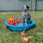 Dog Waterproof Collar - Orange