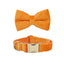 Orange Velvet Set