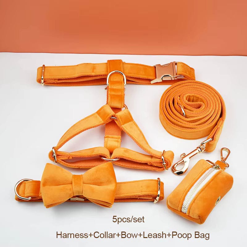 Orange Velvet Set