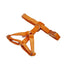 Orange Velvet Set