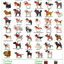 Spaniel Dog Ornament
