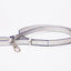 Dog Leash-Small, Metallic Ostrich
