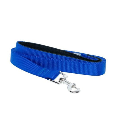 Padded Grip 5-Foot Nylon Dog Leash
