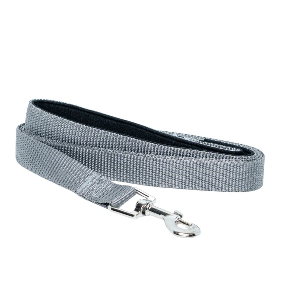 Padded Grip 5-Foot Nylon Dog Leash