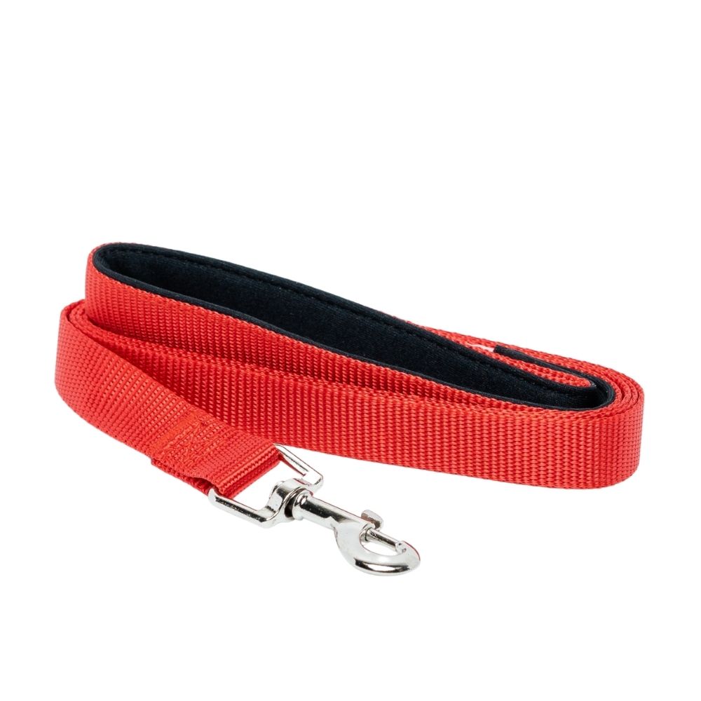Padded Grip 5-Foot Nylon Dog Leash