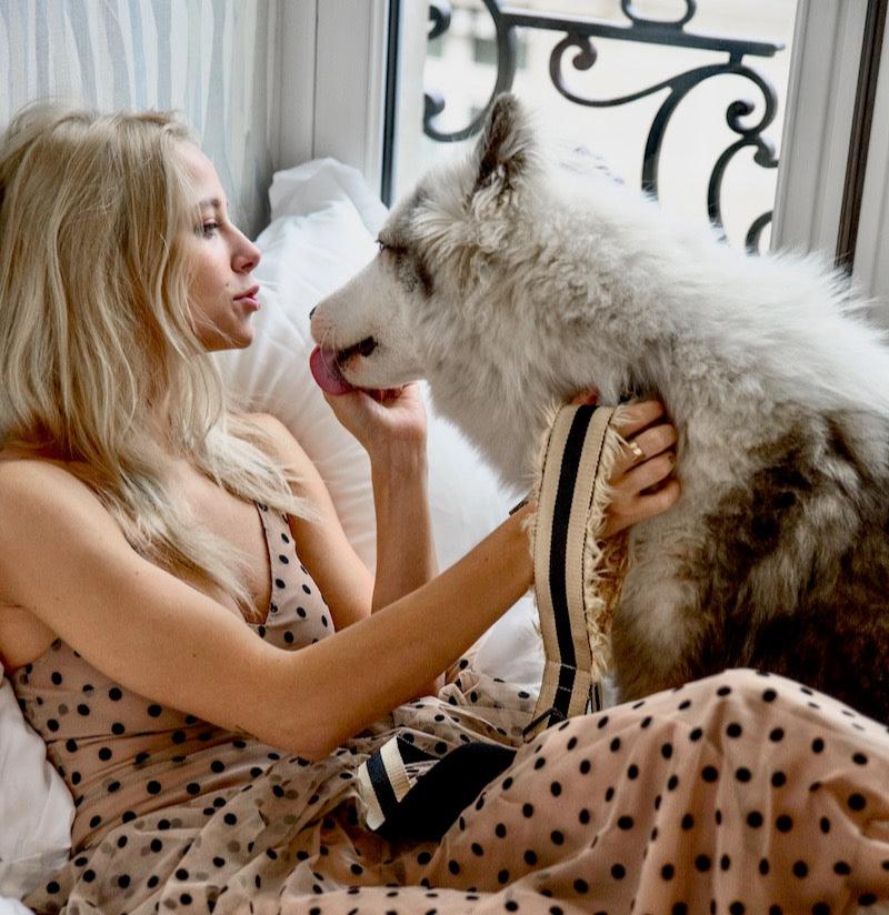 The City Dog Leash Fur