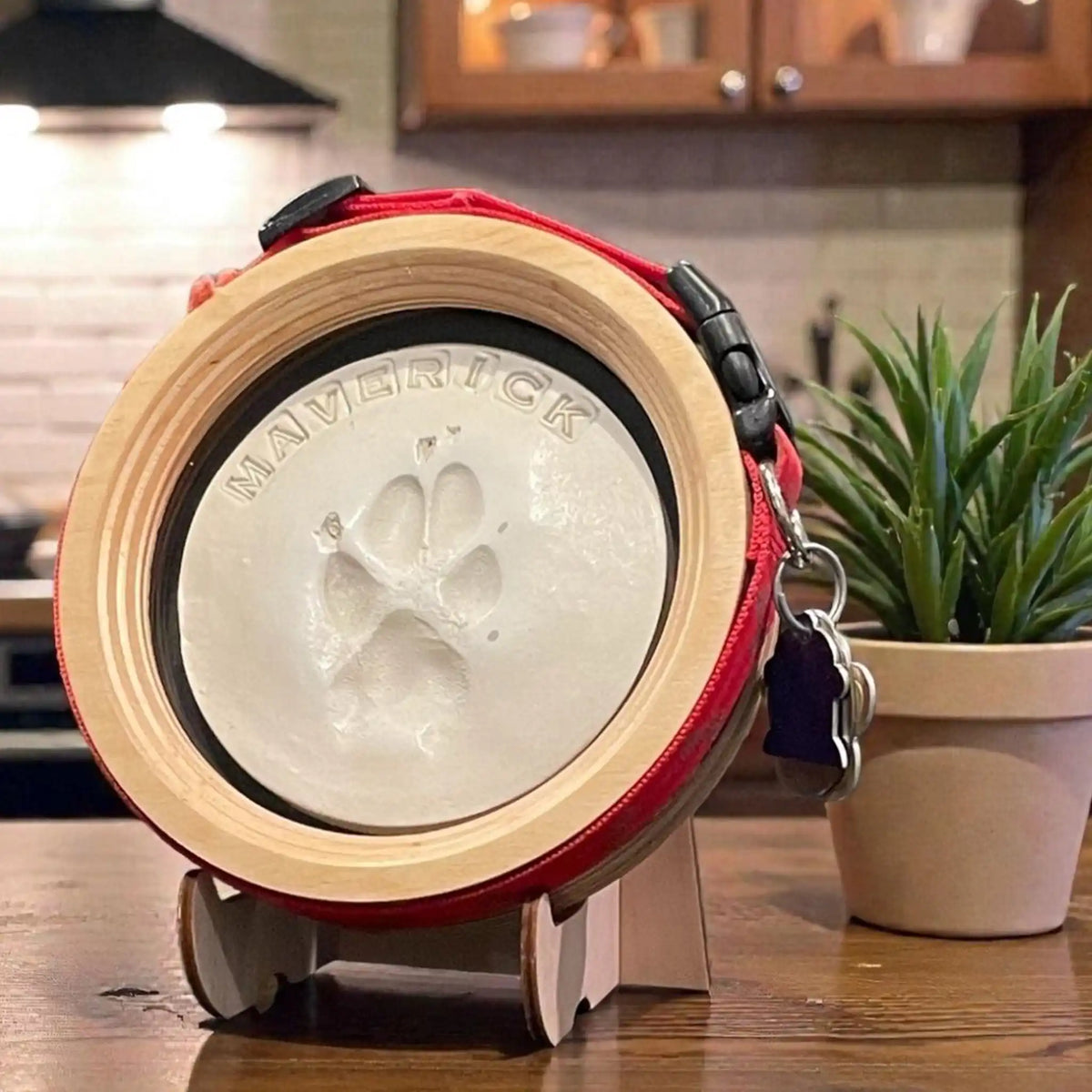 Paw Print & Collar Memorial Frame