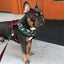 Lumbersnack Leash Kit