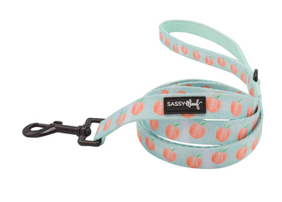 Dog Leash - Peach Please