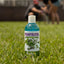 Jeffers Natural Flea & Tick Pennyroyal Pet Shampoo - Aids in Repelling Fleas, Ticks, Flies & Mosquitos