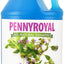 Jeffers Natural Flea & Tick Pennyroyal Pet Shampoo - Aids in Repelling Fleas, Ticks, Flies & Mosquitos