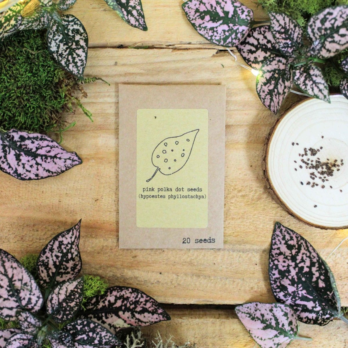 "Pet-Friendly" Houseplant Seed Collection