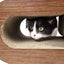 Pet Life ® 2-In-1 'Pill Shaped' Premium Quality Modular Kitty Cat Scratcher Lounger Lounge with Catnip