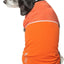 Pet Life ® Active 'Aero-Pawlse' Quick-Dry and 4-Way-Stretch Yoga Fitness Dog T-Shirt Tank Top