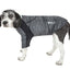 Pet Life ® Active 'Chewitt Wagassy' 4-Way-Stretch Yoga Fitness Long-Sleeve Dog T-Shirt