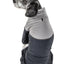 Pet Life ®  Active 'Embarker' 4-Way Stretch Fitness Yoga Full Body Dog Tracksuit