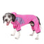 Pet Life ® Active 'Pawsterity' Mediumweight 4-Way-Stretch Yoga Fitness Dog Tracksuit Hoodie
