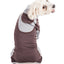 Pet Life ® Active 'Warm-Pup' Stretchy and Quick-Drying Fitness Dog Yoga Warm-Up Tracksuit