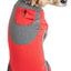 Pet Life ® Active 'Warm-Pup' Stretchy and Quick-Drying Fitness Dog Yoga Warm-Up Tracksuit