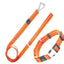 Pet Life ® 'Advent' Outdoor Series 3M Reflective 2-in-1 Durable Martingale Training Dog Leash and Collar