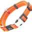 Pet Life ® 'Advent' Outdoor Series 3M Reflective 2-in-1 Durable Martingale Training Dog Leash and Collar