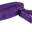 Pet Life ® 'Aero Mesh' 2-In-1 Breathable and Adjustable Dual-Sided Mesh Dog Leash and Collar