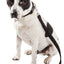 Pet Life ® 'Aero Mesh' 2-In-1 Breathable and Adjustable Dual-Sided Mesh Dog Leash and Collar