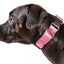 Pet Life ®  'Aero Mesh' Dual-Sided Breathable and Adjustable Thick Mesh Dog Collar