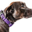 Pet Life ®  'Aero Mesh' Dual-Sided Breathable and Adjustable Thick Mesh Dog Collar