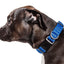 Pet Life ®  'Aero Mesh' Dual-Sided Breathable and Adjustable Thick Mesh Dog Collar