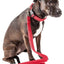 Pet Life ®  'Aero Mesh' Breathable and Adjustable Dual Sided Thick Mesh Dog Leash