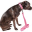 Pet Life ®  'Aero Mesh' Breathable and Adjustable Dual Sided Thick Mesh Dog Leash