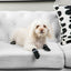 Pet Life ® Anti-Slip Rubberized Gripped Breathable Stretch Pet Dog Socks - Set of 4