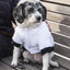 Pet Life ® Aspen Winter-White 3M Insulated Fashion Pet Parka Dog Coat