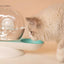 Pet Life ® 'Auto-Myst' Snail Shaped 2-in-1 Automated Gravity Pet Filtered Water Dispenser and Food Bowl