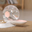 Pet Life ® 'Auto-Myst' Snail Shaped 2-in-1 Automated Gravity Pet Filtered Water Dispenser and Food Bowl