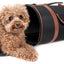 Pet Life ® 'Bark Avenue' Cylindrical Airline Approved Fashion Designer Posh Pet Dog Carrier