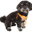 Pet Life ®  'Bonatied' Mesh Reversed Adjustable Fashion Dog Harness W/ Designer Neck Tie