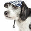 Pet Life ®  'Bone Cappa' Graffiti Sculptured Uv Protectant Adjustable Fashion Dog Hat Cap