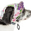 Pet Life ®  'Botanic Bark' Floral UV Protectant Adjustable Fashion Canopy Brimmed Dog Hat Cap