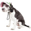 Pet Life ®  'Botanic Bark' Floral Uv Protectant Adjustable Fashion Dog Hat Cap