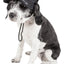 Pet Life ®  'Cap-Tivating' UV Protectant Adjustable Fashion Dog Hat Cap