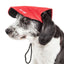 Pet Life ®  'Cap-Tivating' UV Protectant Adjustable Fashion Dog Hat Cap