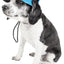 Pet Life ®  'Cap-Tivating' UV Protectant Adjustable Fashion Dog Hat Cap