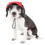 Pet Life ®  'Cap-Tivating' UV Protectant Adjustable Fashion Dog Hat Cap