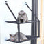 Pet Life ® 'Cat Laze'  Suction Cupped Dual-Leveled Kitty Cat Lounger