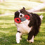 Pet Life ® 'Chompter' Dura-Chew Plush Waterproof Tugging Nylon Dog Toy